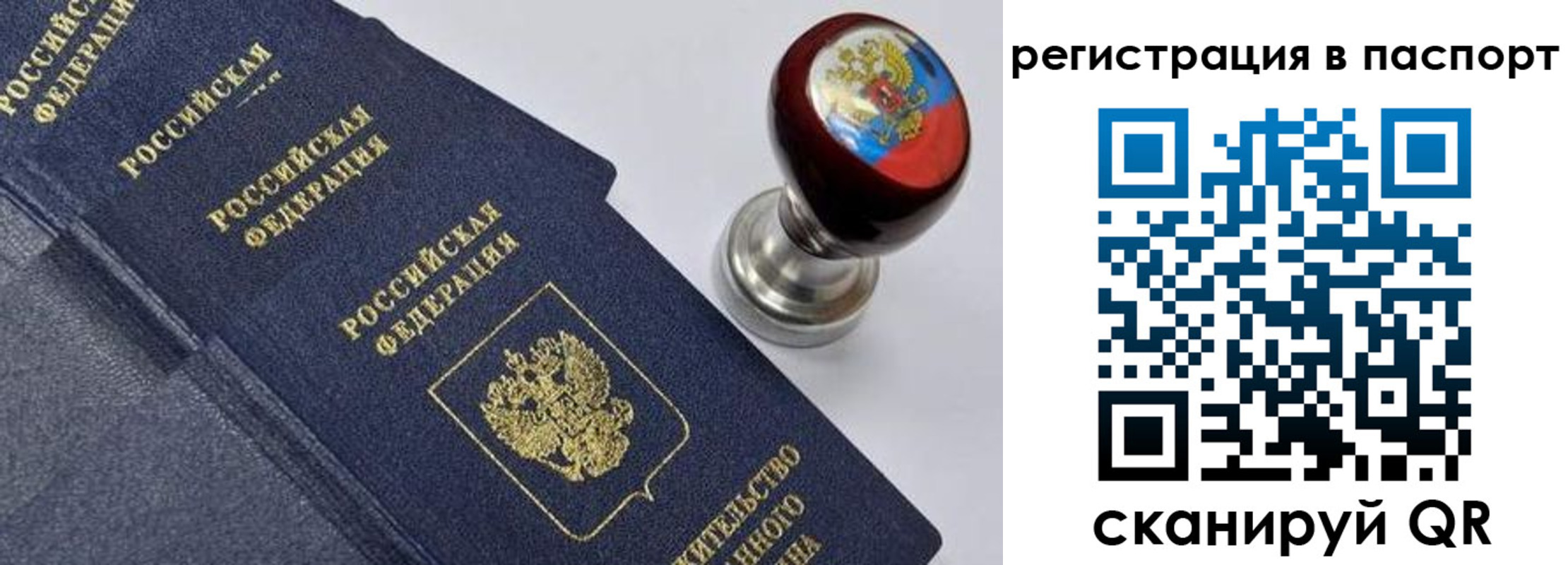 прописка поиск в Электрогорске